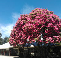 Crossways Country Inn - ACT Tourism