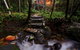 Daintree Cascades - thumb 0