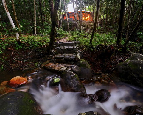 Daintree Cascades - ACT Tourism 0