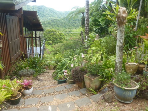 Daintree Holiday Homes - The Folly - ACT Tourism 0