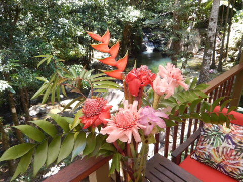 Daintree Secrets Rainforest Sanctuary - ACT Tourism 1