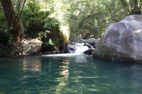 Daintree Secrets Rainforest Sanctuary - ACT Tourism 0