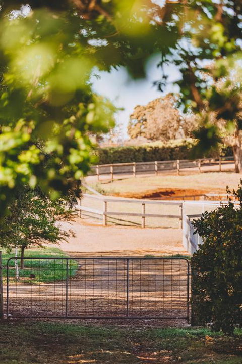 Dalblair Bed & Breakfast - ACT Tourism 3