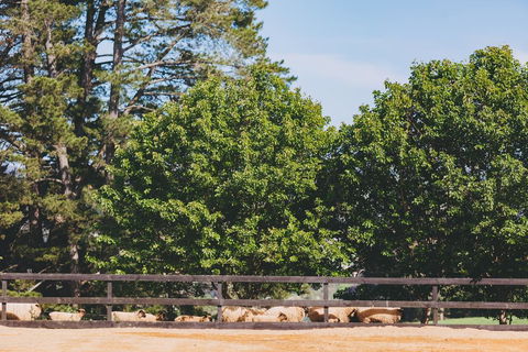 Dalblair Bed & Breakfast - ACT Tourism 1