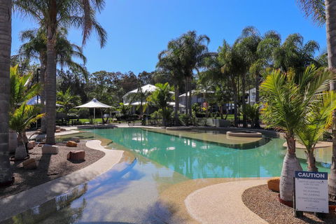 Dollarbird Treetops Townhouse - ACT Tourism 1