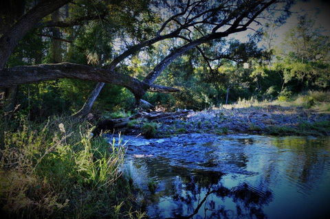 Eighteen Mile Cottage - ACT Tourism 1