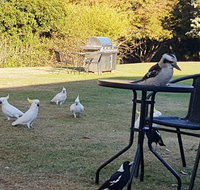 Eildon Parkview Motor Inn - ACT Tourism