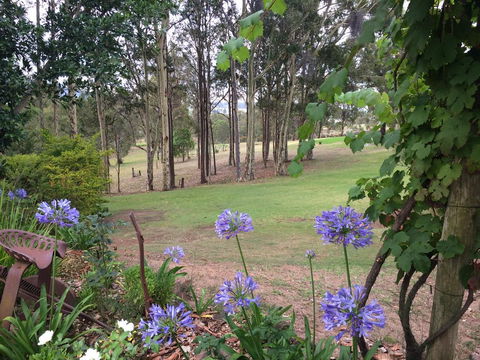 Elfin Hill Vineyard Accommodation - ACT Tourism 2
