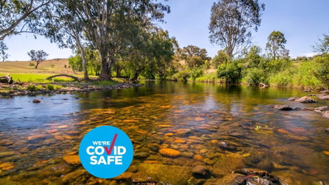 Elm Cottage - ACT Tourism 1