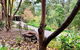 Emerald Star Cottages - thumb 3