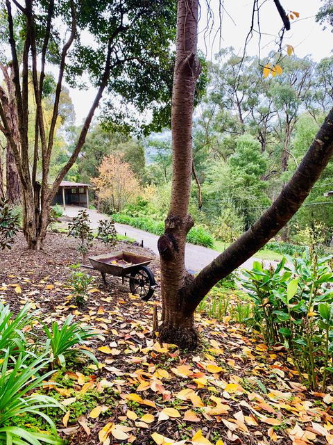 Emerald Star Cottages - ACT Tourism 3