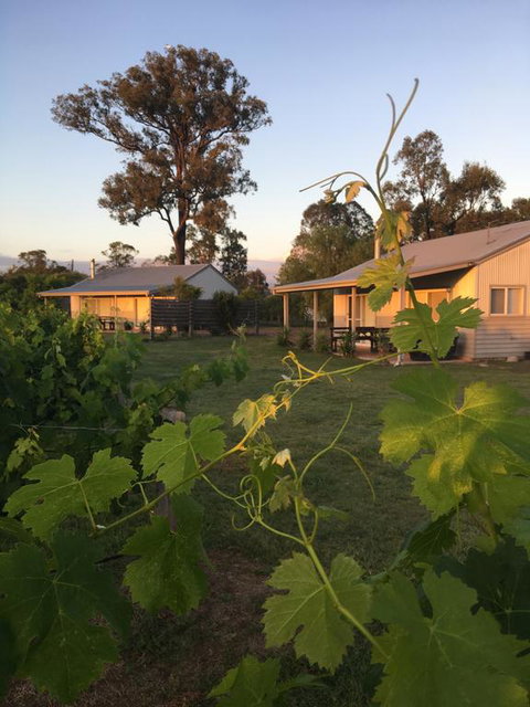 Emma's Cottage Vineyard - ACT Tourism 3