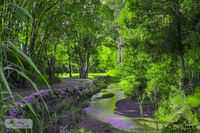 Book Esk Accommodation Vacations ACT Tourism ACT Tourism