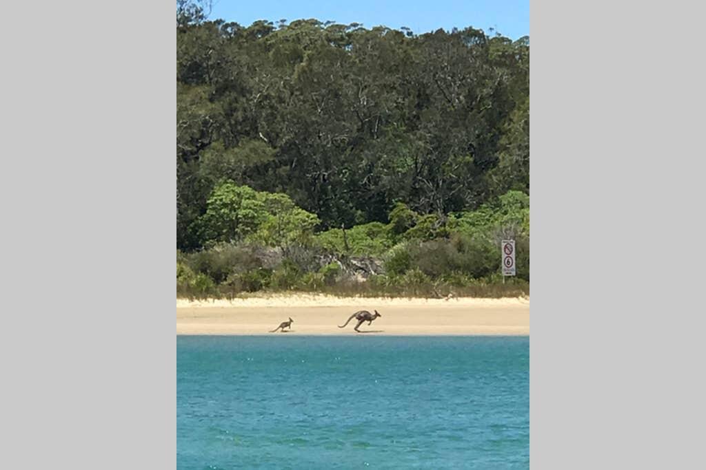 Bolong NSW ACT Tourism