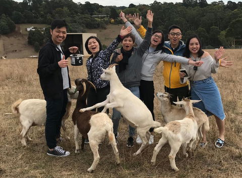 Farm Accommodation - ACT Tourism 1