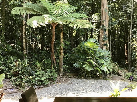 Forest Views Daintree - ACT Tourism 0