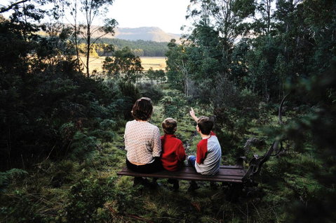 Forest Walks Lodge - ACT Tourism 3