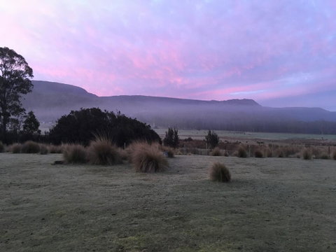 Forest Walks Lodge - ACT Tourism 1