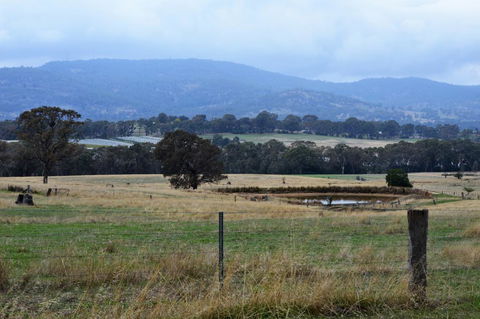 Friends In Harcourt North - ACT Tourism 2