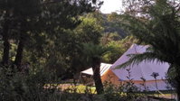 Book Zeehan Accommodation Vacations ACT Tourism ACT Tourism