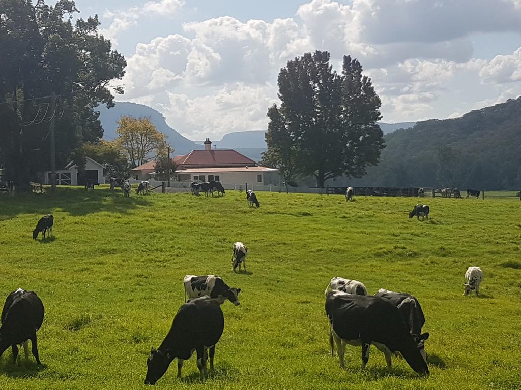 Werai NSW ACT Tourism