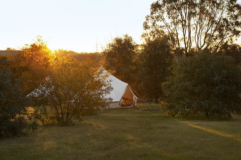 Goldfield Glamping - ACT Tourism 2