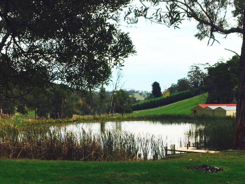 Gracefield Estate - ACT Tourism 0
