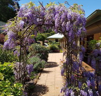 Gumtree House Montville - ACT Tourism