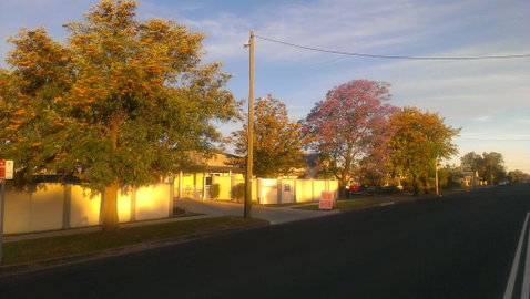 Gunnedah Lodge Motel - ACT Tourism 1
