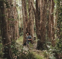 Habitat Noosa - ACT Tourism