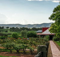 Hanging Tree Wines - ACT Tourism