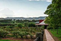 Book Pokolbin Accommodation Vacations ACT Tourism ACT Tourism