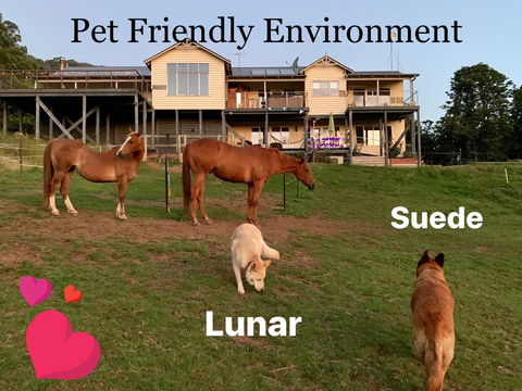 Heavenly Retreat B&B - ACT Tourism 1