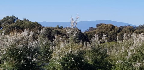 Hideaway Valley Farm - ACT Tourism 1