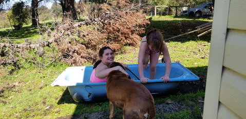 Hideaway Valley Farm - ACT Tourism 3