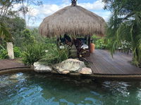 Book Maudsland Accommodation Vacations ACT Tourism ACT Tourism