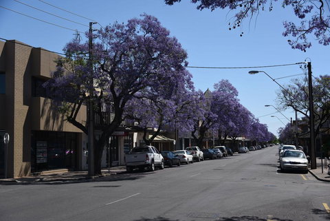 Hostel 109 Flashpackers - ACT Tourism 1