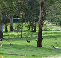 JAN'S ART STUDIO AT ASHBY RISE - ACT Tourism