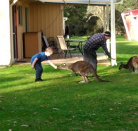 Kalgan River Chalets and Caravan Park - ACT Tourism