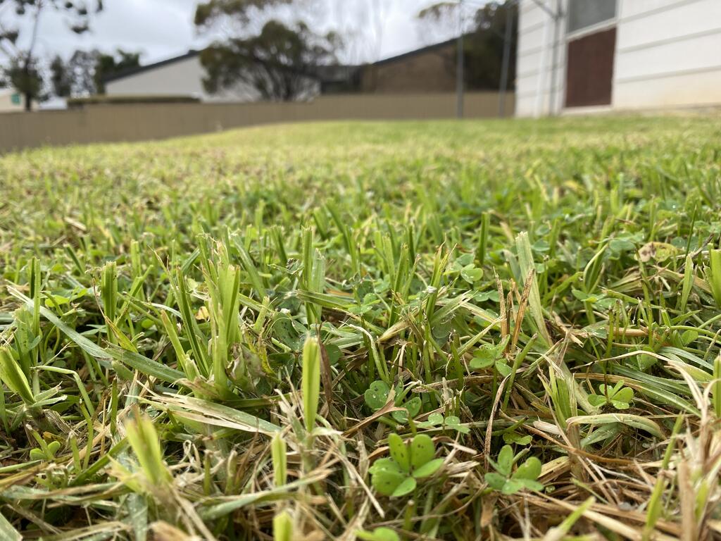 Marama ACT ACT Tourism