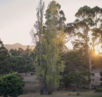 Karribank and the Karri On Bar