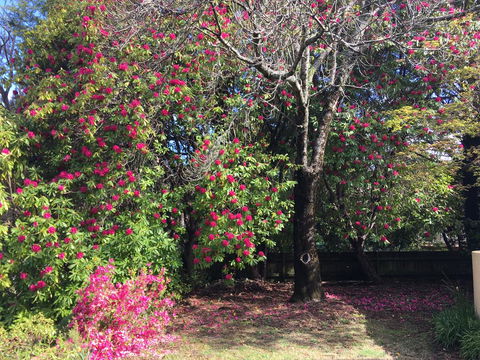 Kookaburra Cottage - ACT Tourism 1