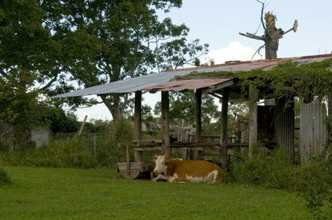 Lagoon Pocket Bed & Breakfast - ACT Tourism 3