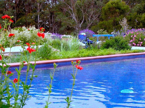 Lemonade Creek Cottages - ACT Tourism 0