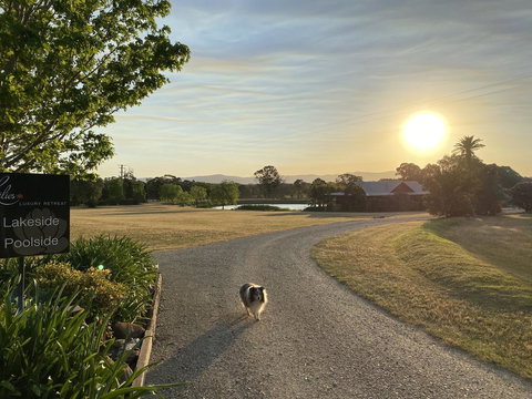 Lilies Luxury Retreats - ACT Tourism 3