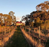 Lillicur Vineyard BB - ACT Tourism