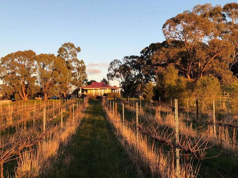 Lillicur Vineyard B&B - ACT Tourism 0