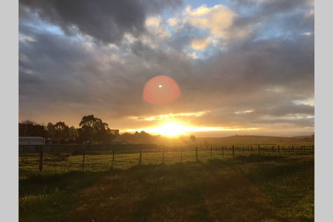 Lucys Artist Cottage - ACT Tourism 3