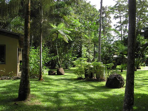 Lync Haven Rainforest Retreat - ACT Tourism 3