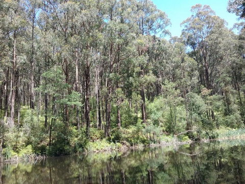 Lyrebird Gully Retreat - ACT Tourism 2